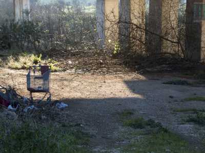 Insomma la sensazione � che pian piano i segni distintivi della vita di campagna stiano lasciando il posto alla prepotente avanzata dello zona dedicata allo shopping, simboleggiata da un carrello della spesa arrivato fin qua gi� a conquistare gli ultimi scampoli di natura sopravvissuta